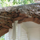 A big ol’ yellow jacket nest